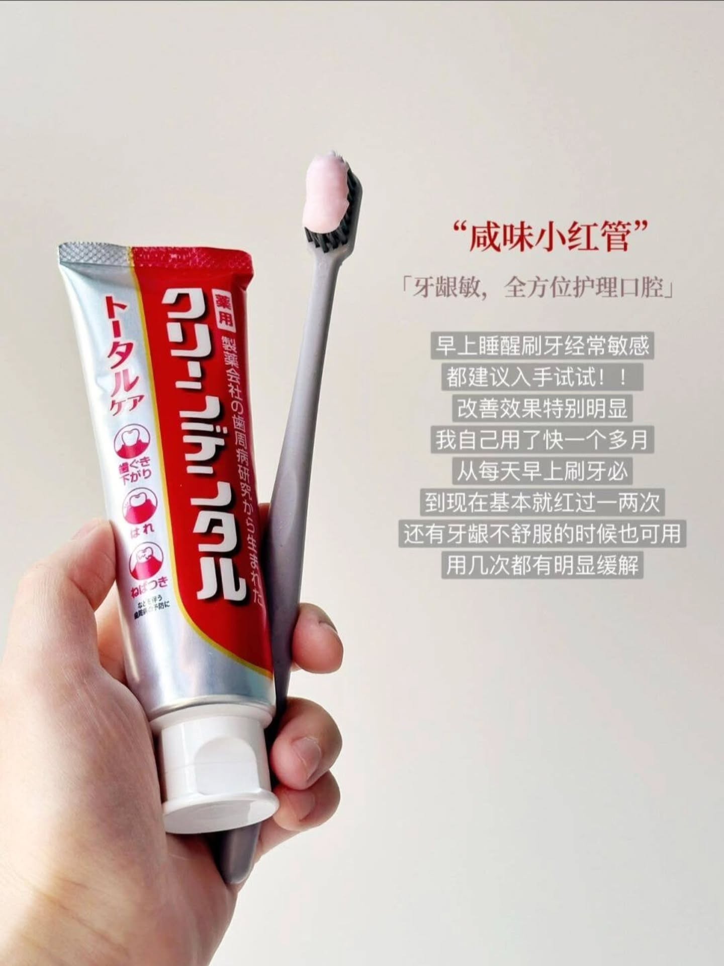 🇯🇵【 第一三共药用牙膏系列 】