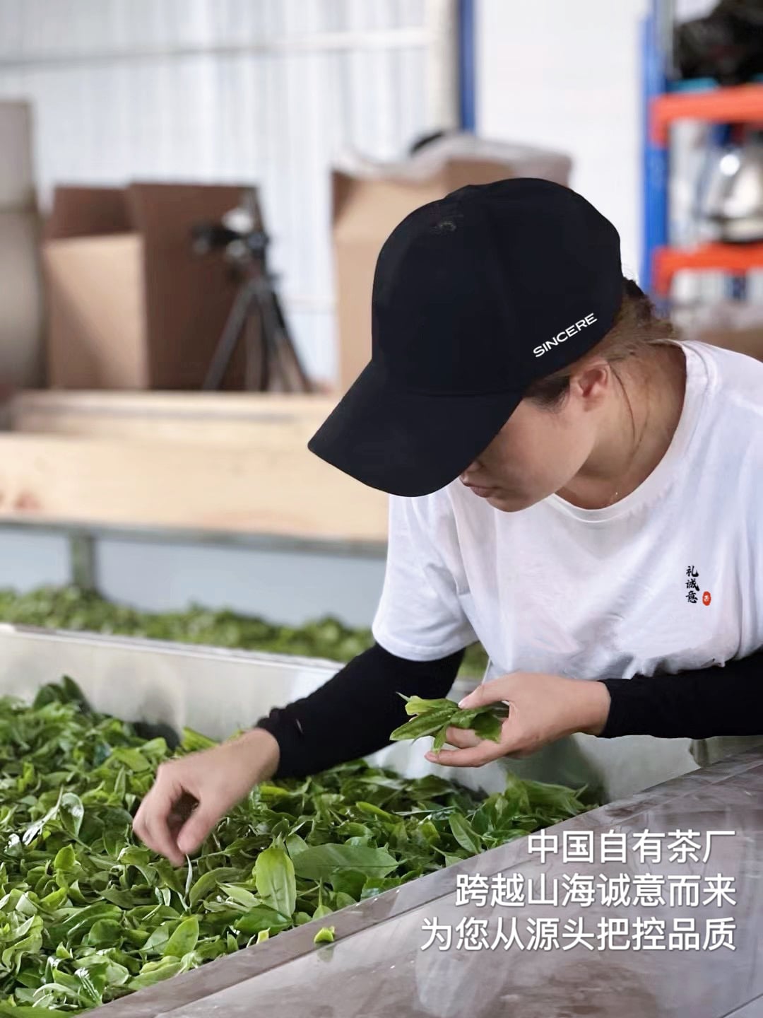 【高端款·普洱臻萃茶礼】敬世界一杯中国茶荣获金奖有机茶饼普洱熟茶品质好礼