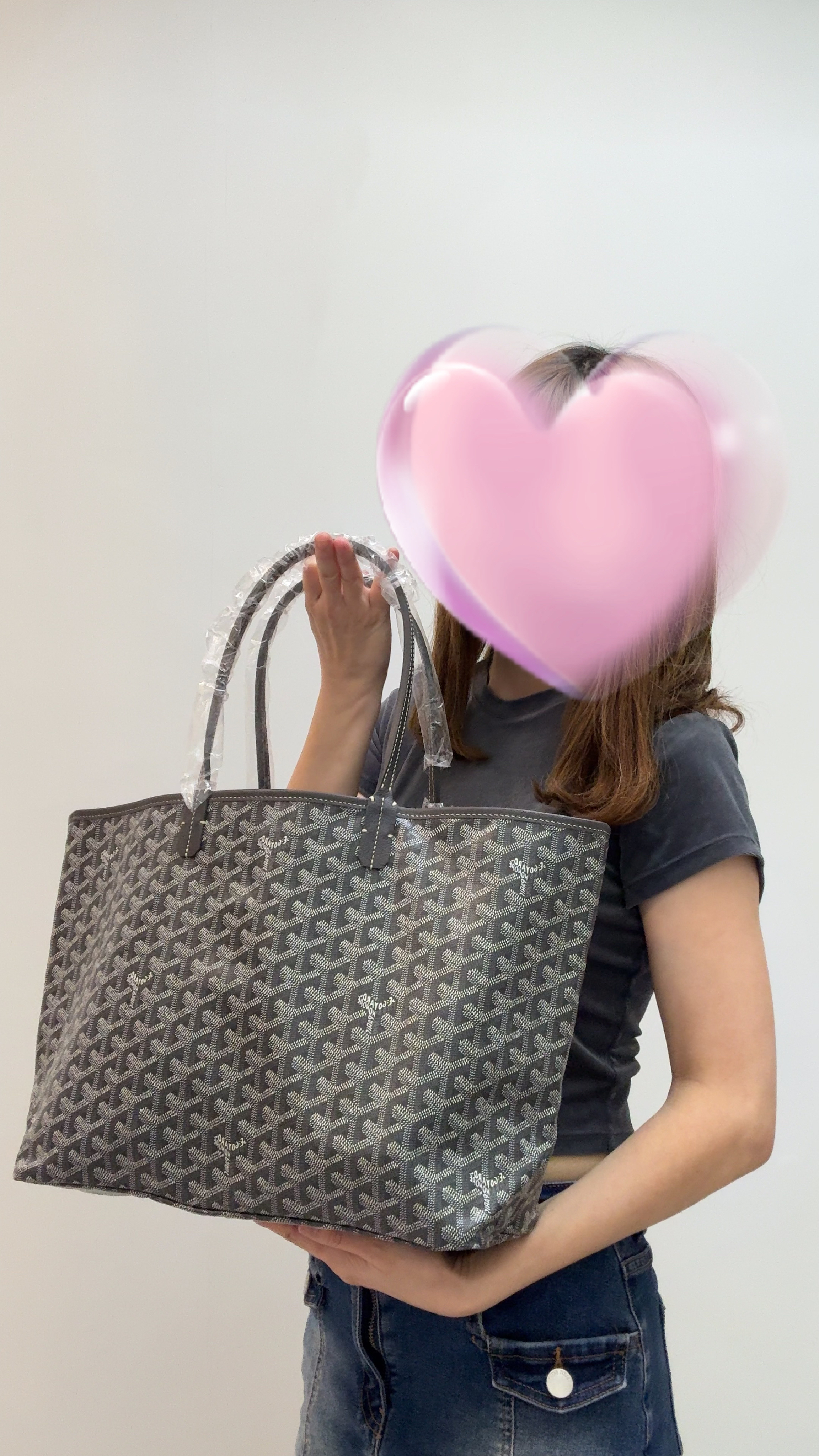 Unused Goyard Saint Louis Tote-PM Grey