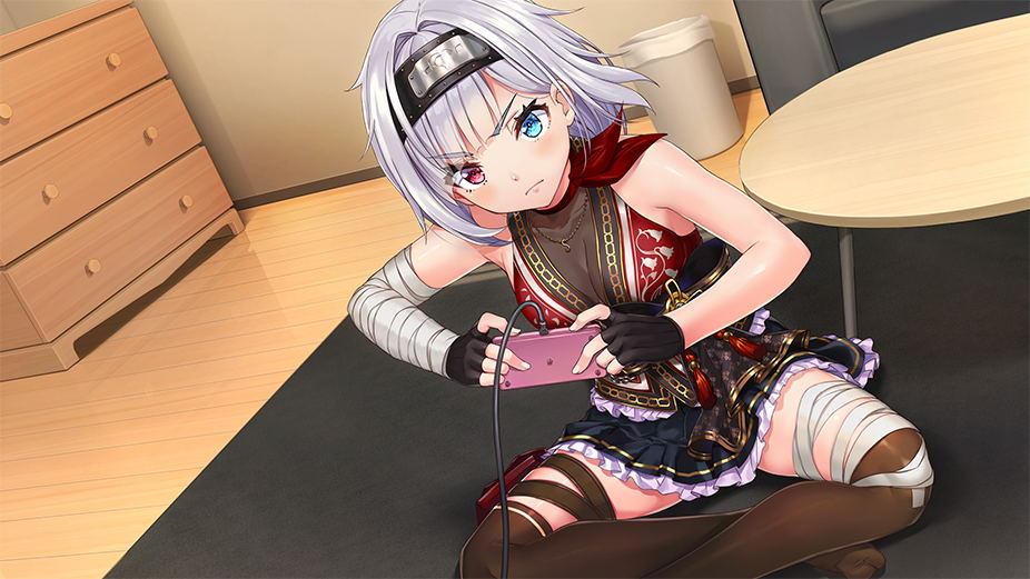 【預售 3/9】NS Days Collection: 女忍者戀愛二部曲 / Days Collection: NinNin Heroines 中/英/日文  (中文封面) NSW-4017