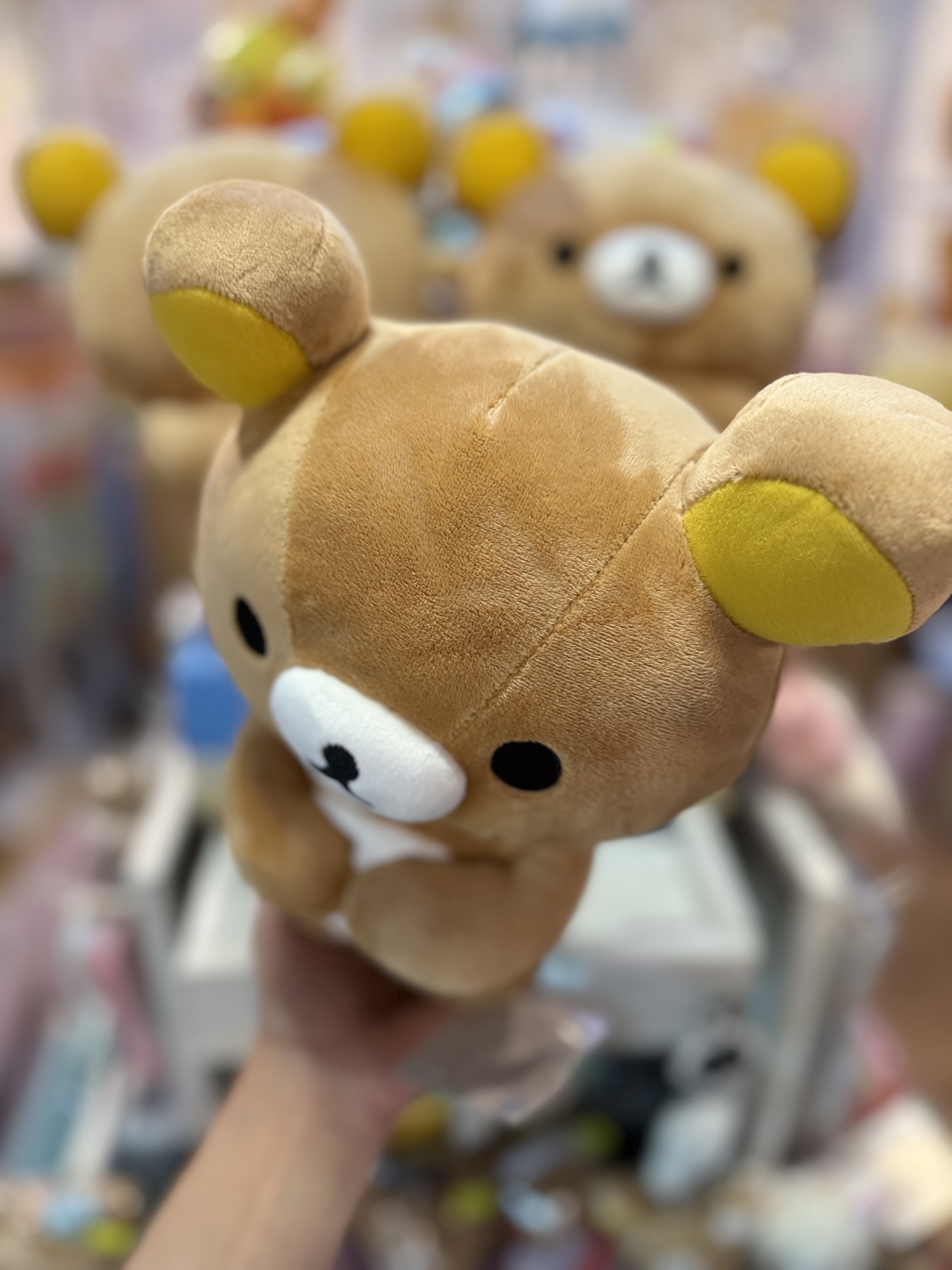 《現貨》全新Rilakkuma瓦瓦貓系列跪地公仔