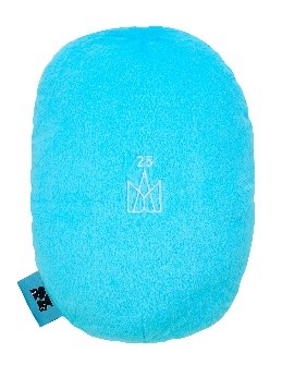 〔五月天 #5525〕我不願讓你一個人擁抱枕｜冠佑款（綫下自取）（非綫上）