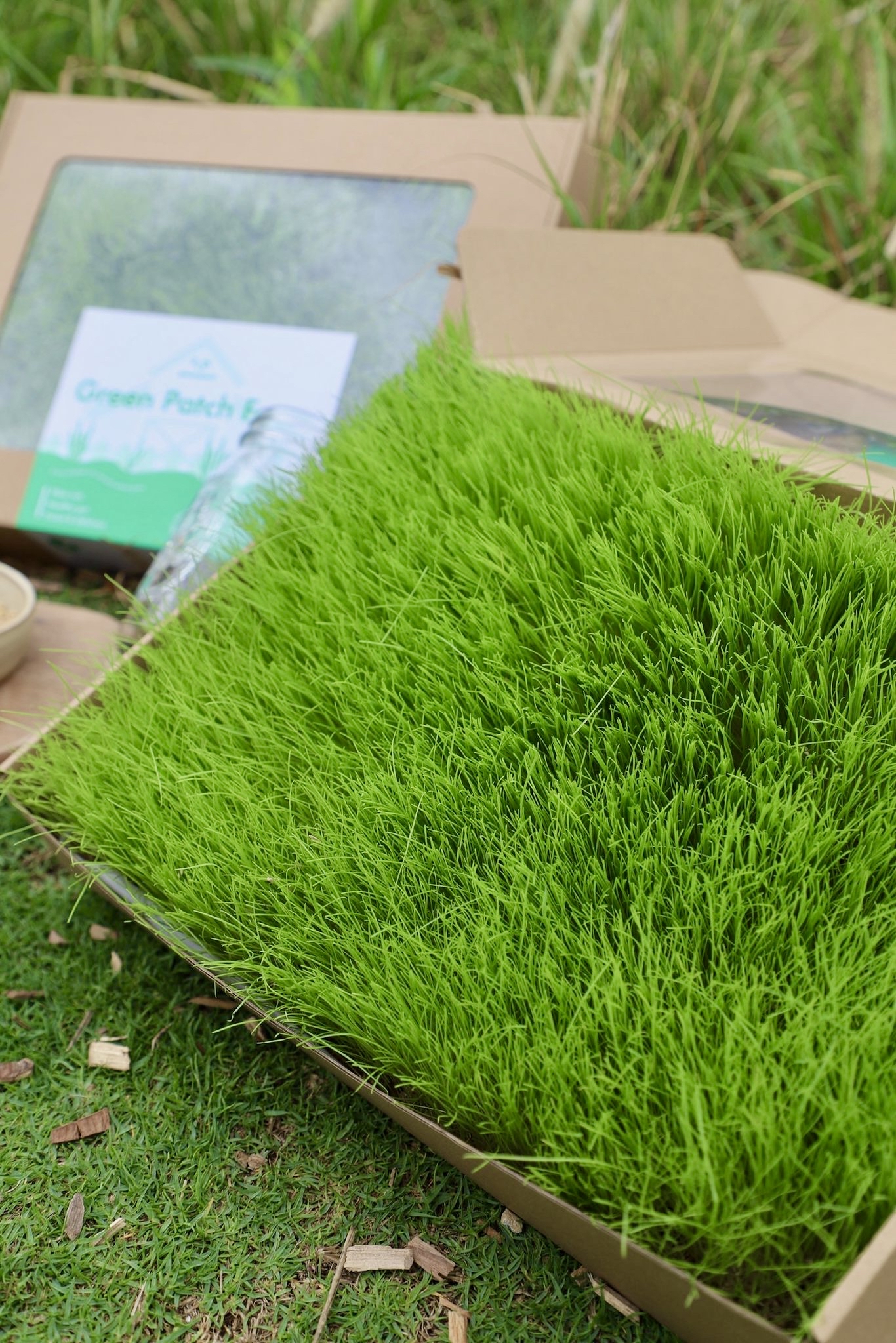 香港 Green Patch Farm Fresh Meadow 小寵物黑麥草X燕麥草零食草皮（約30x40cm）