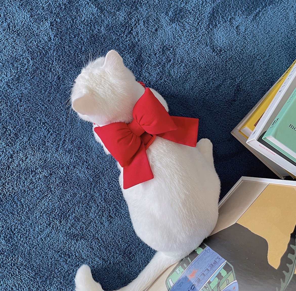 韓國🇰🇷 handmade 蝴蝶結Harness