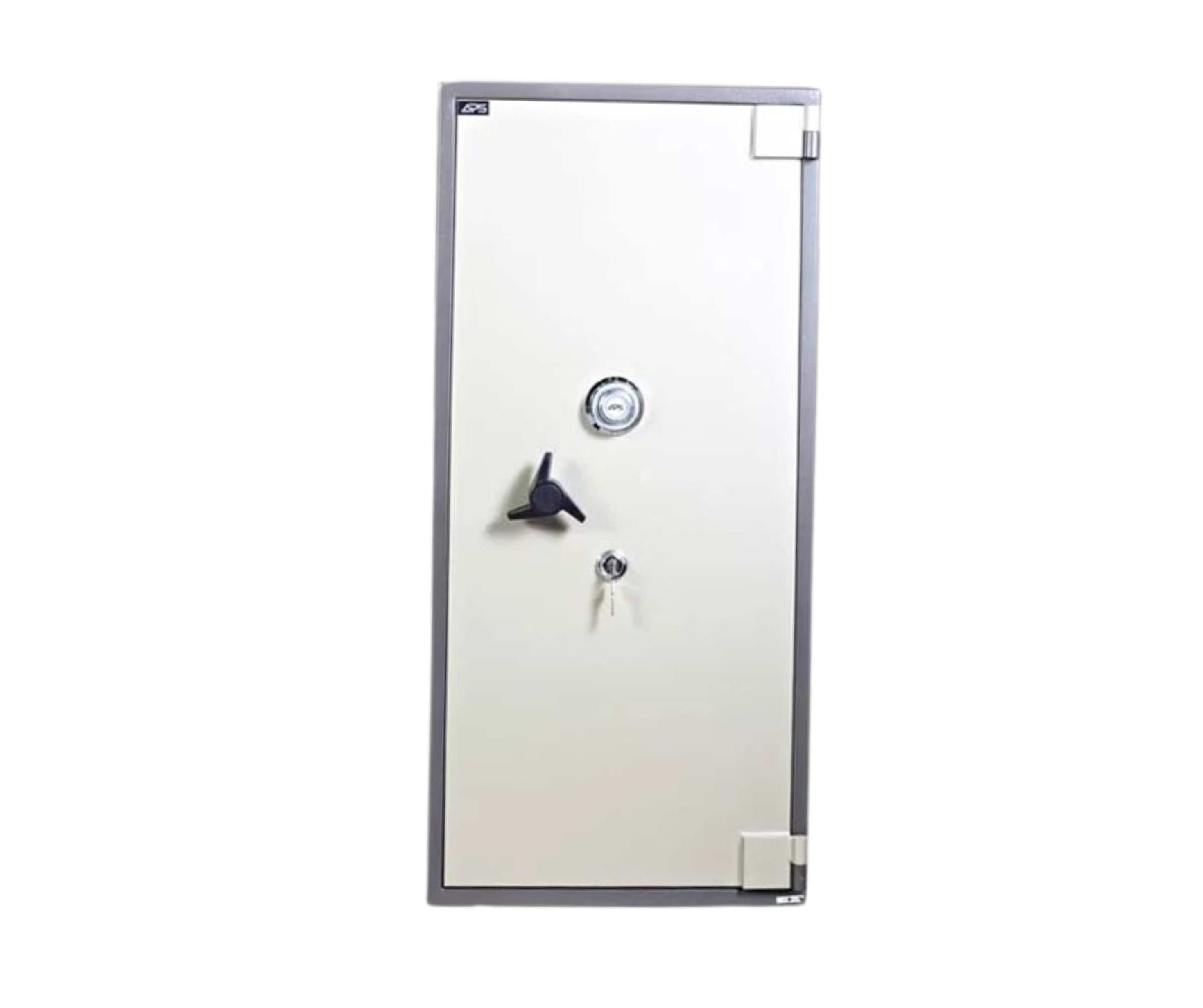 APS Fire Resistant Safe (LS5)_280kg