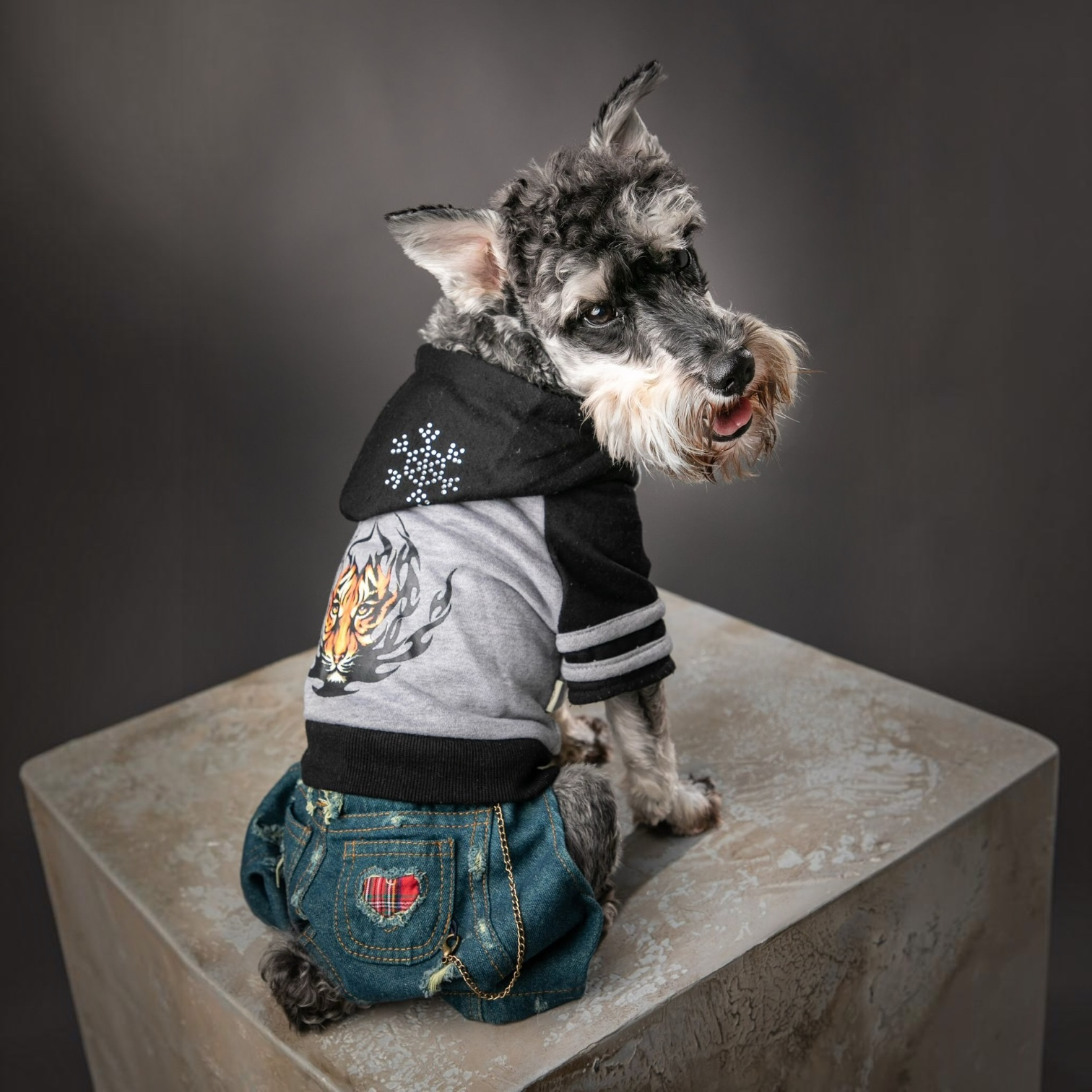 S412GY Ivor Hoodie Denim Jumper 老虎頭衫配牛仔褲