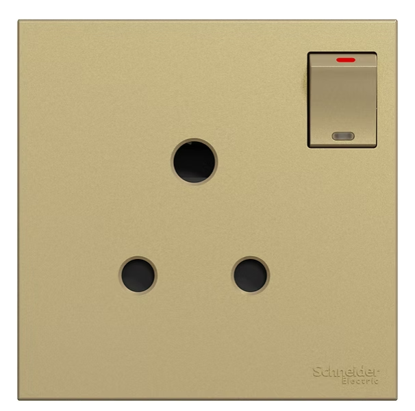 施耐德 奐然AvatarOn C 沉醉金 15A單蘇有掣 插座