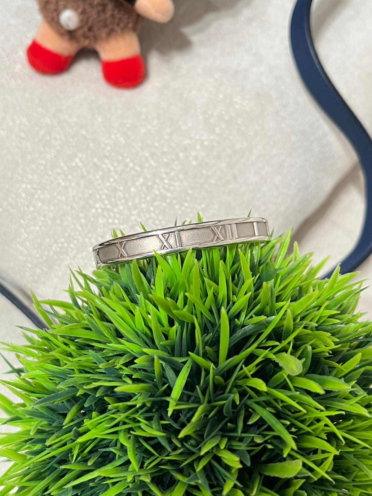 Tiffany & Co. 純銀 Bracelet 100%Authentic, 95%New ✅Box