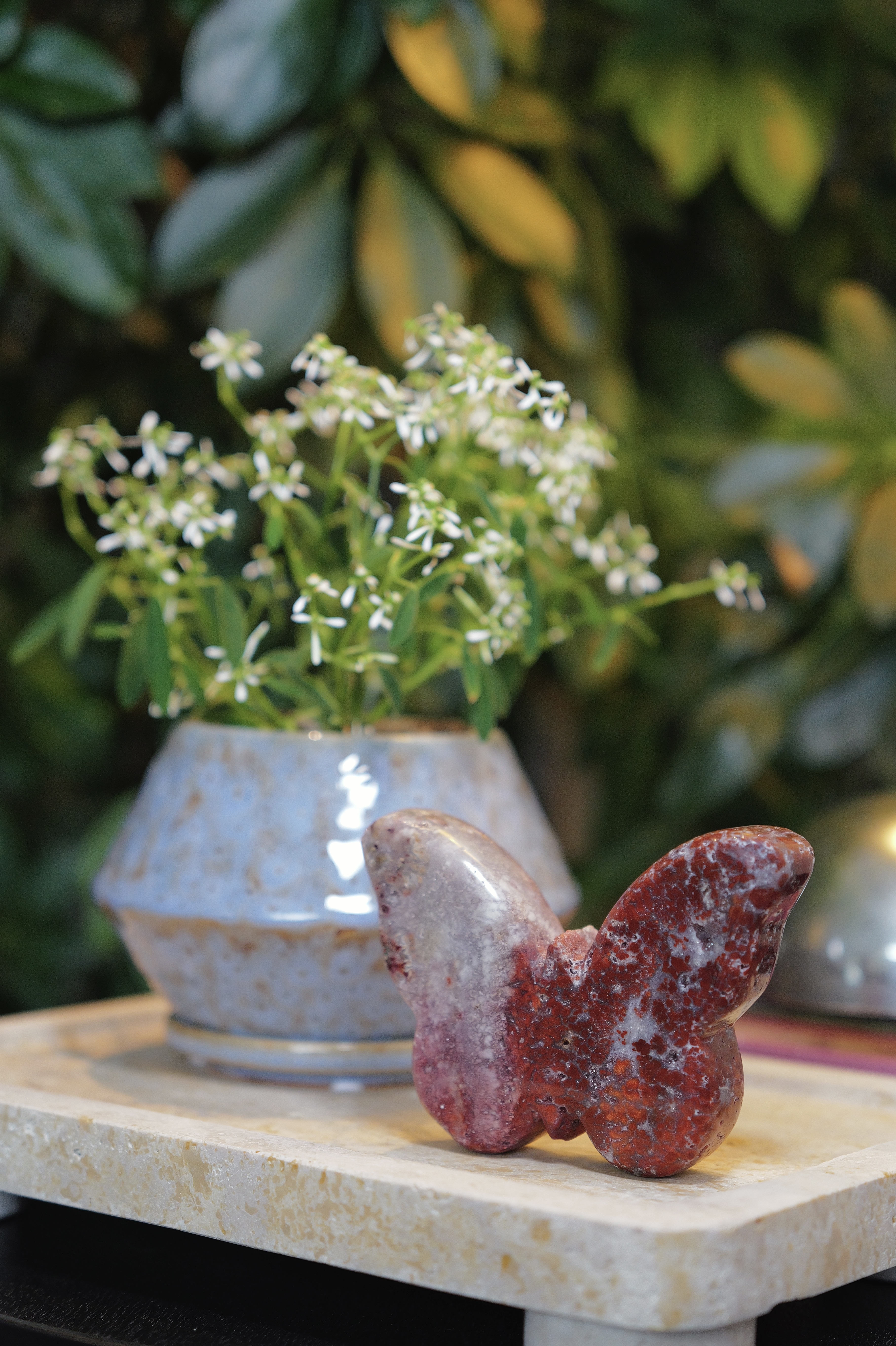 ༒ 11.2cm RED JASPER BUTTERFLY ༒  JA.7048C3AG3A8-RA20*5em
