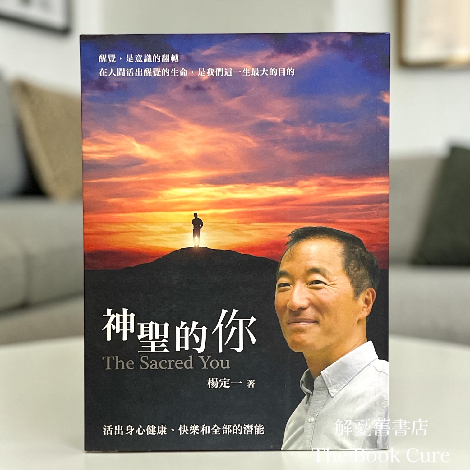 䄂聖的你 / 楊定一 著