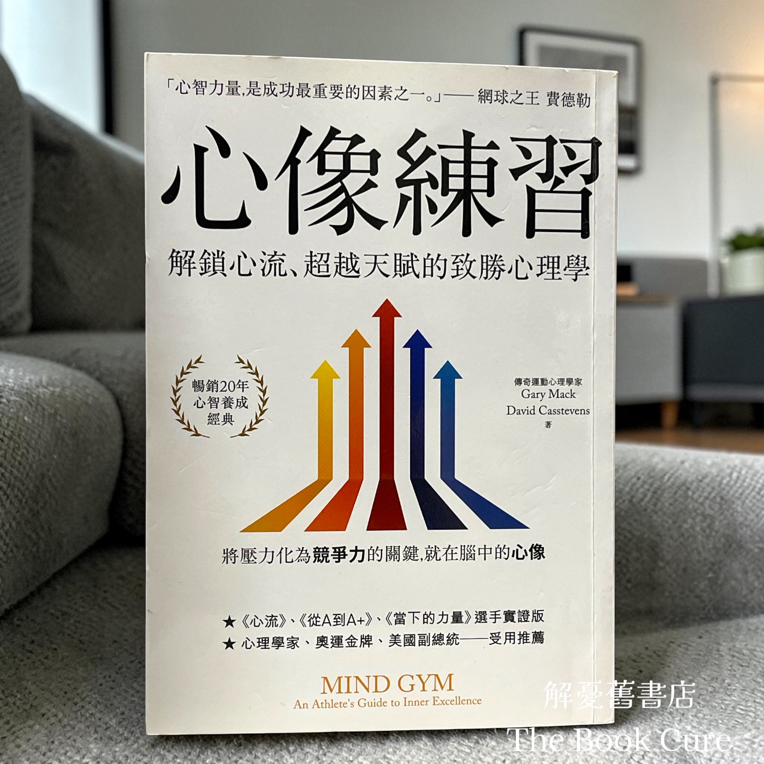 心像練習：解鎖心流、超越天賦的致勝心理學 / Gary Mack & David Casstevens 著