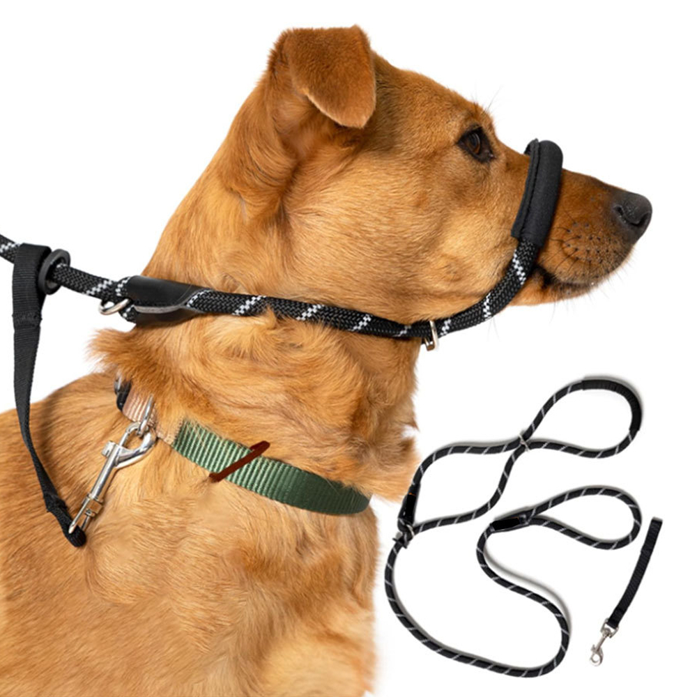 一體式狗嘴套牽引繩 200*1.0CM 黑色 UB0272