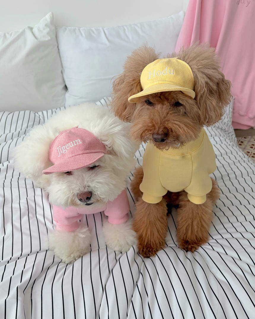 韓國🇰🇷 Confetti Naming Ball Cap