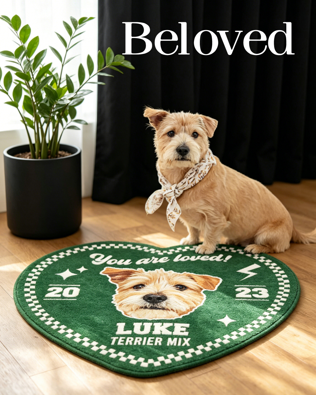 地毯 - Beloved 系列