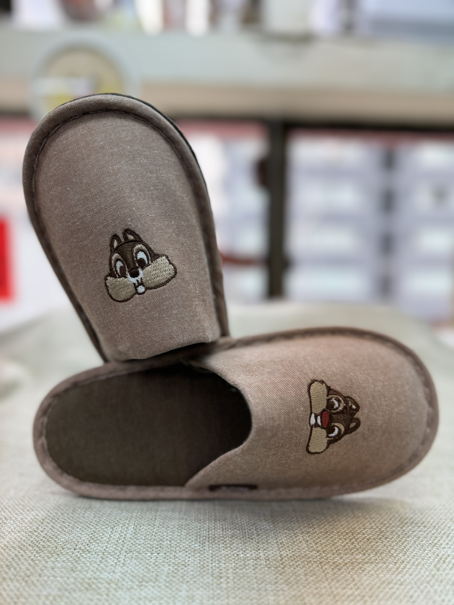 [現貨] [日本直送] CHIP & DALE | 22-24cm 家居鞋 {TF2403003}