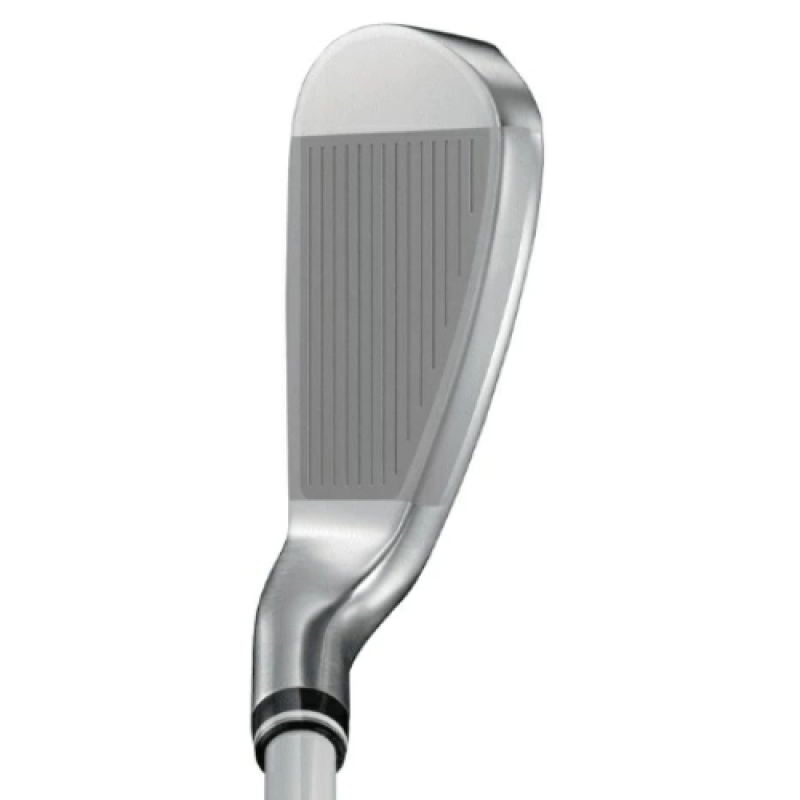 XXIO MP1400 第十四代 LADIES IRON 女士鐵桿組 8PCS