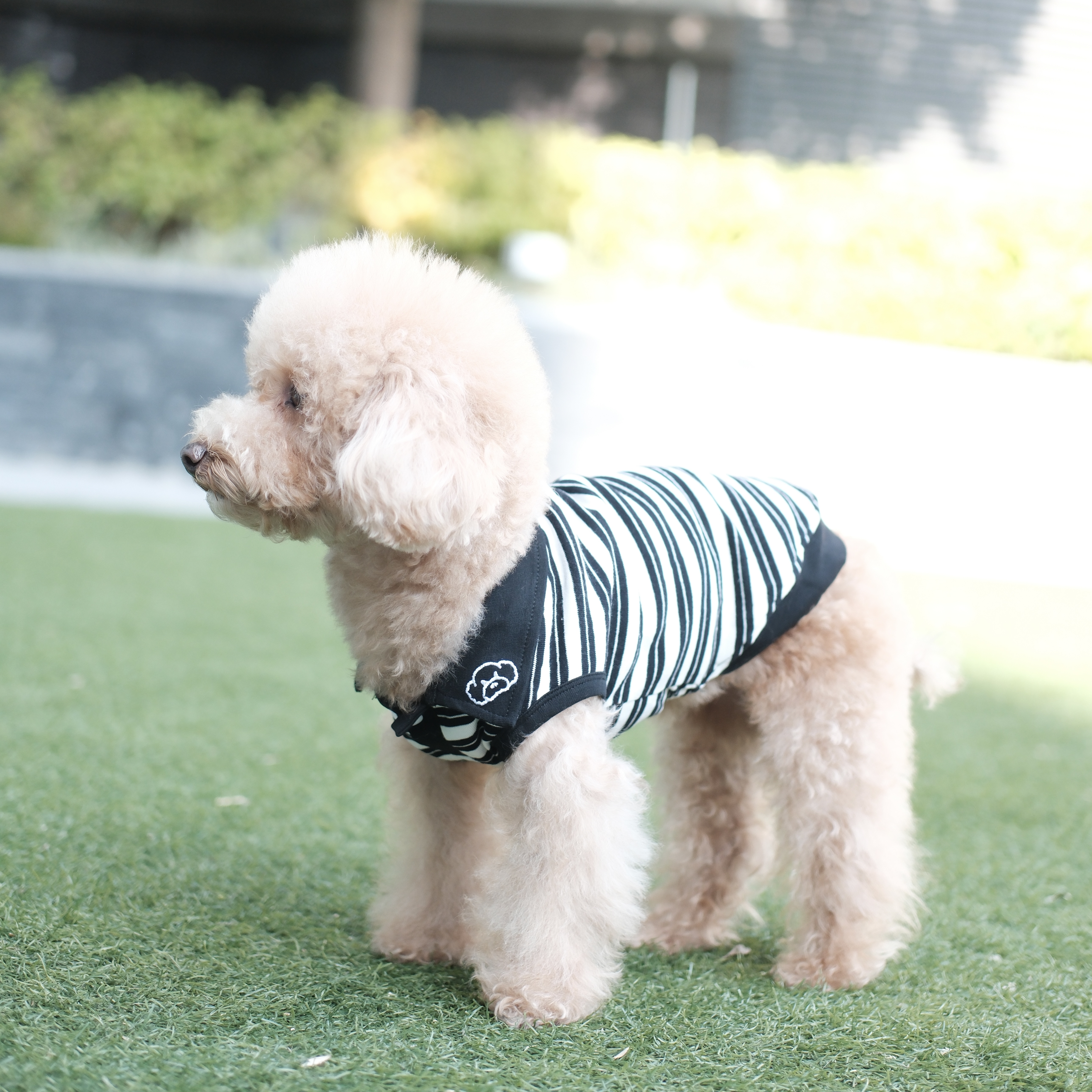 S650   黑白條紋T恤 Black and white striped T-shirt