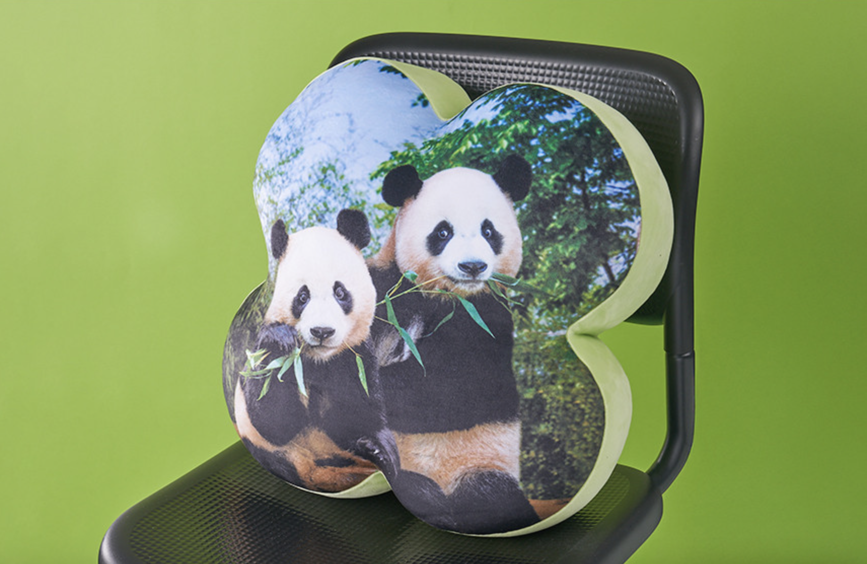 📦訂購 韓國代購 愛寶樂園 Everland Bao Family 寶家族 睿寶輝寶 Ruibao & Huibao Cushion 四葉草 抱枕 