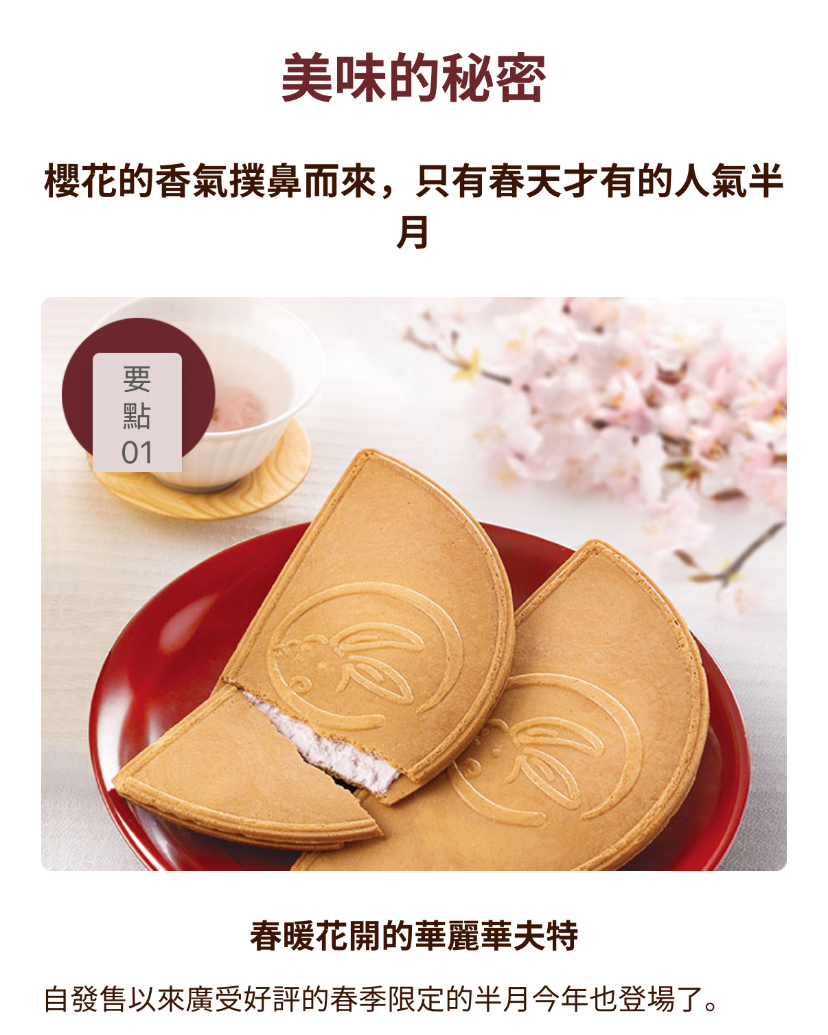 日本直送春季限定版 櫻花春季限定版5入/10入