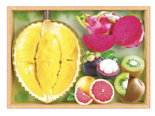 新貨 榴槤套裝水果