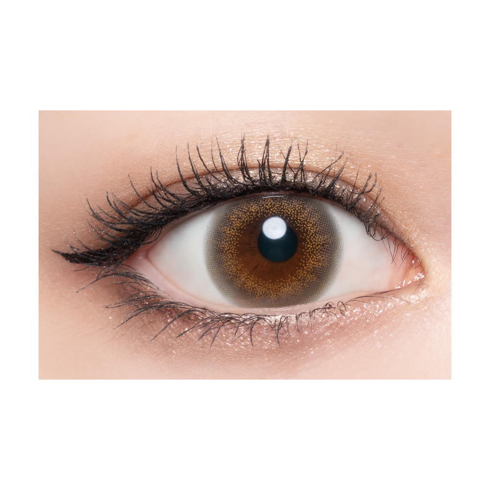 Loveil - Luster Gray (1day/10P)