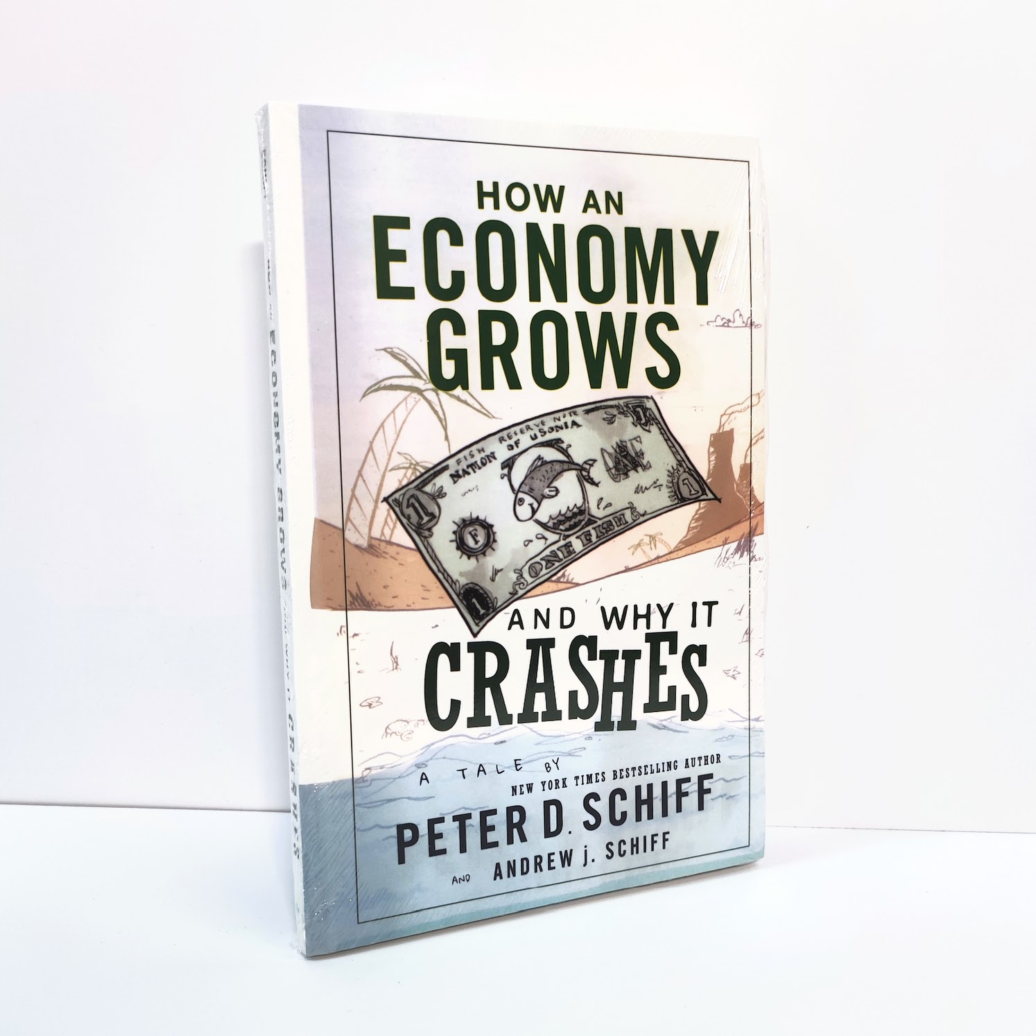 How an Economy Grows and Why It Crashes | A95