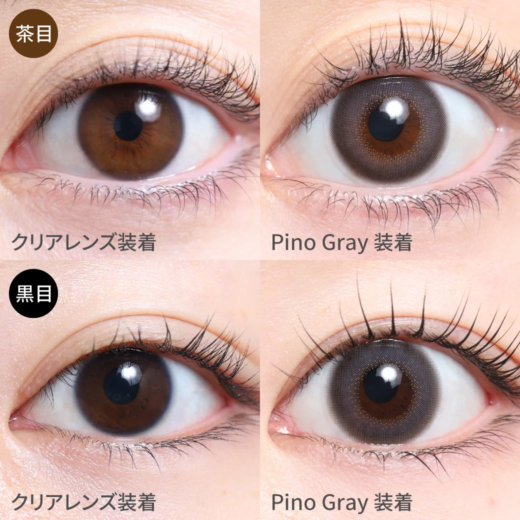 TeAmo - Cheria Pino Gray (1day/10P)