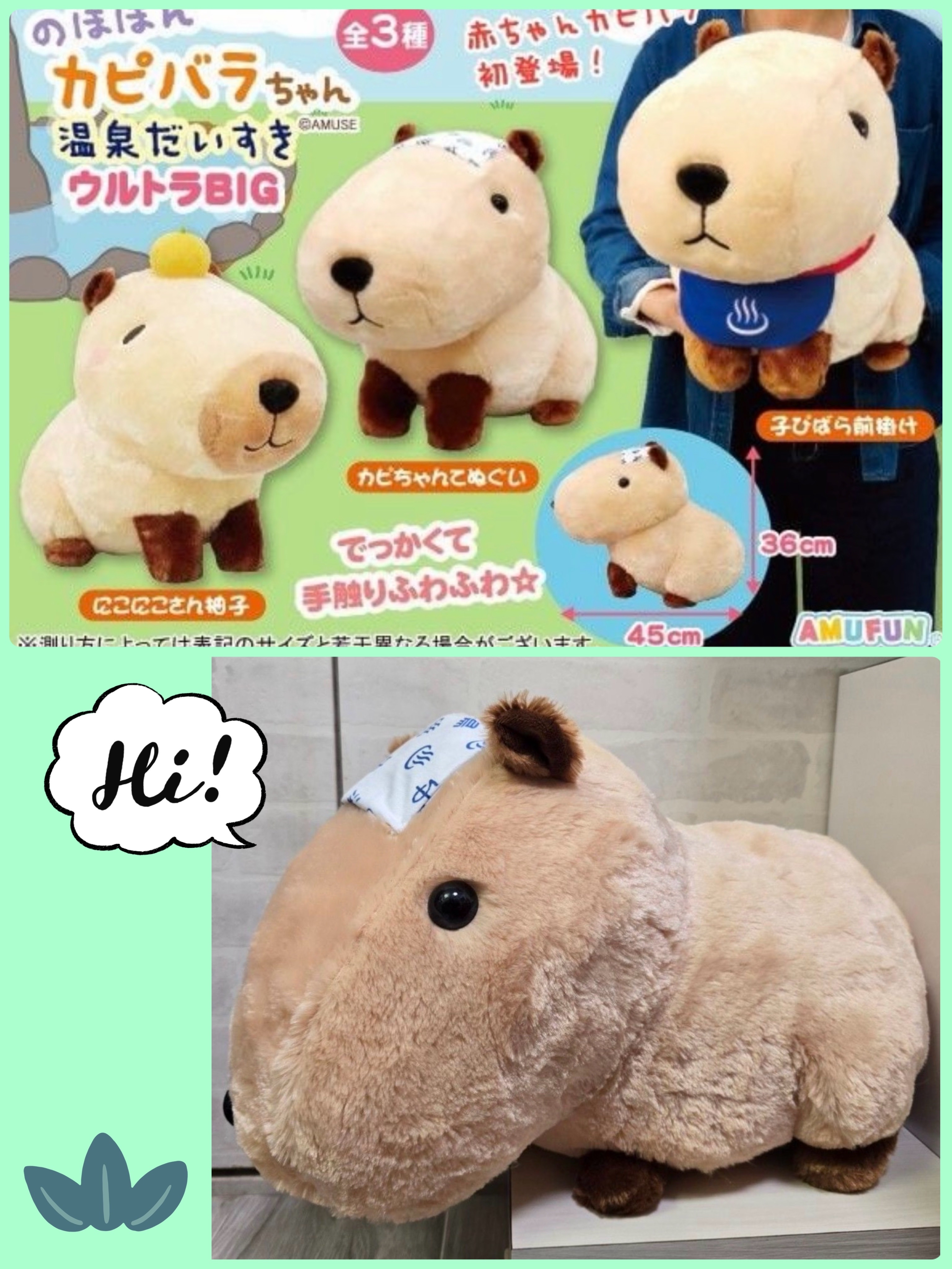 ☆現貨☆日本直送 Amufun 泡溫泉水豚君大公仔