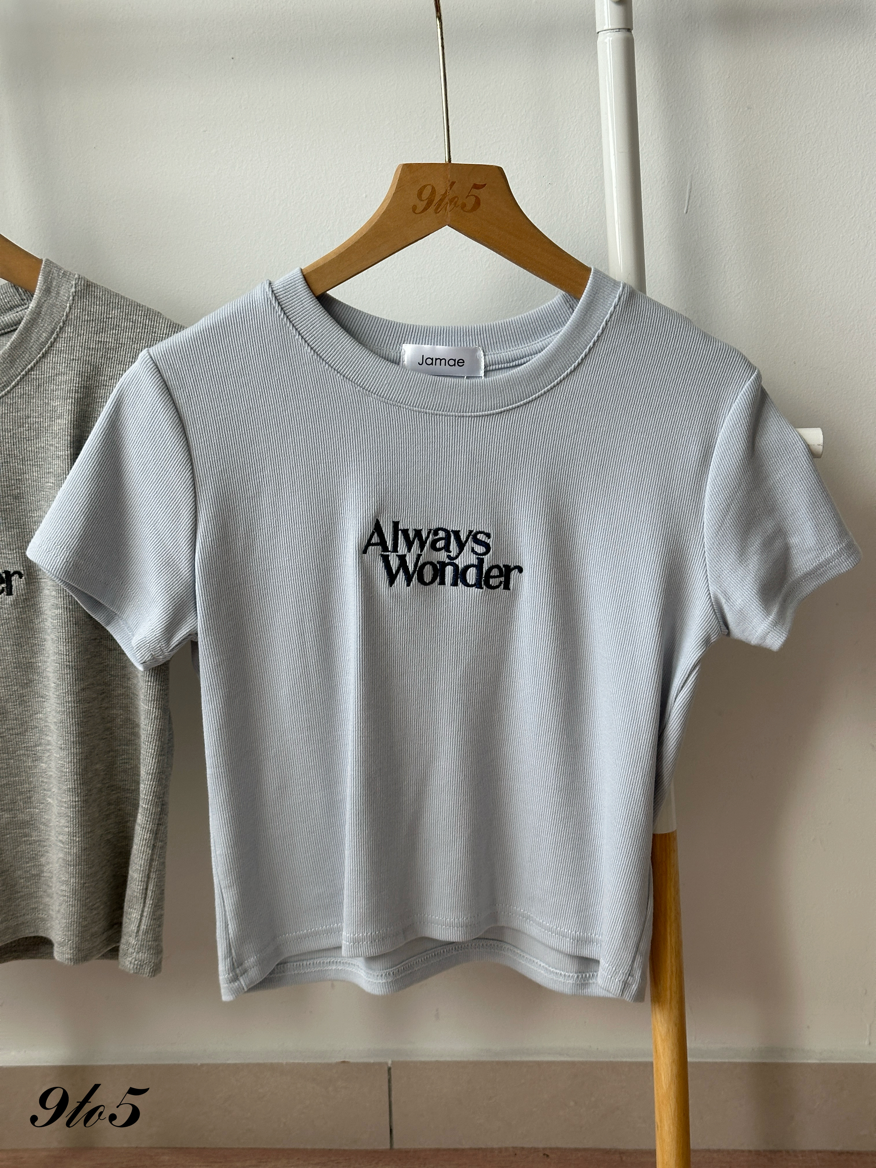 T4367 Embroidery Wording Crop Top - 4 Colors 