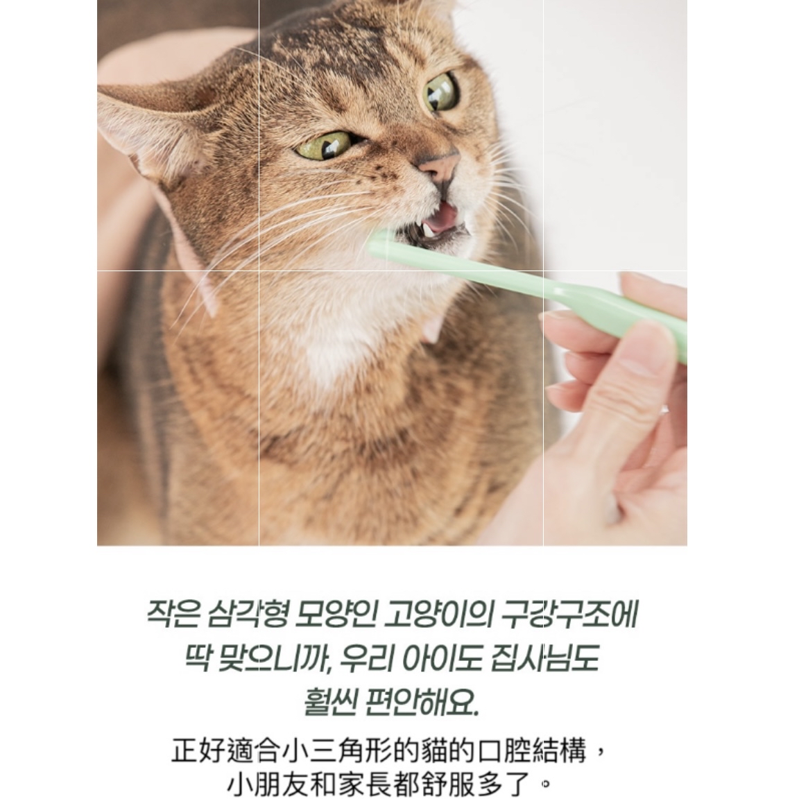 *BiteMe🇰🇷Two Way Dual-headed Ultra Small Toothbrush 兩頭二合一牙刷