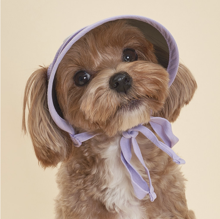*Super Pet🇰🇷UV防曬寵物太陽帽 (DG017)