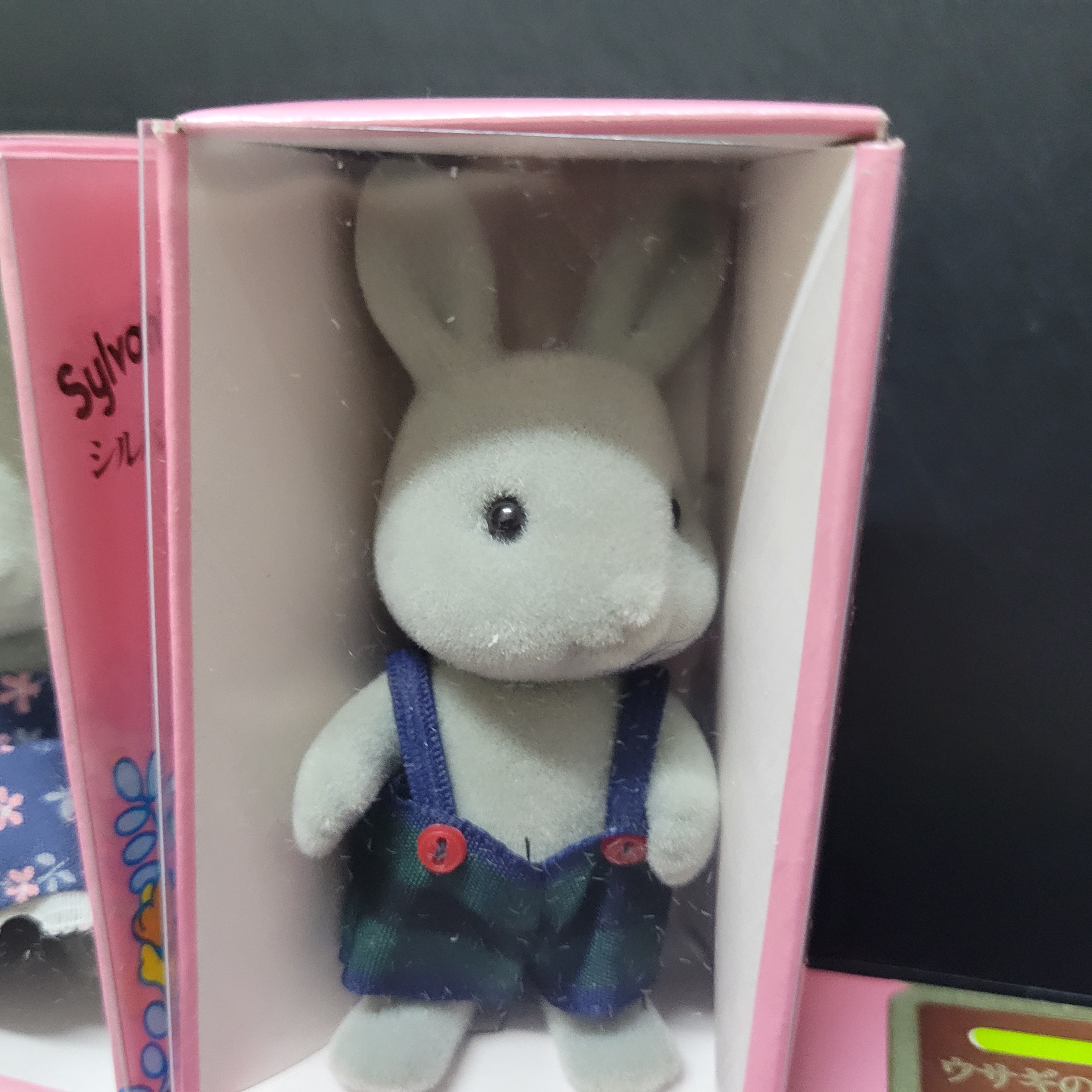 森林家族灰兔C0224