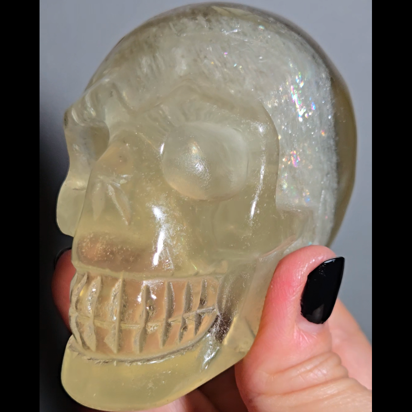 Citrine skull with rainbows and star flash asterism - C66