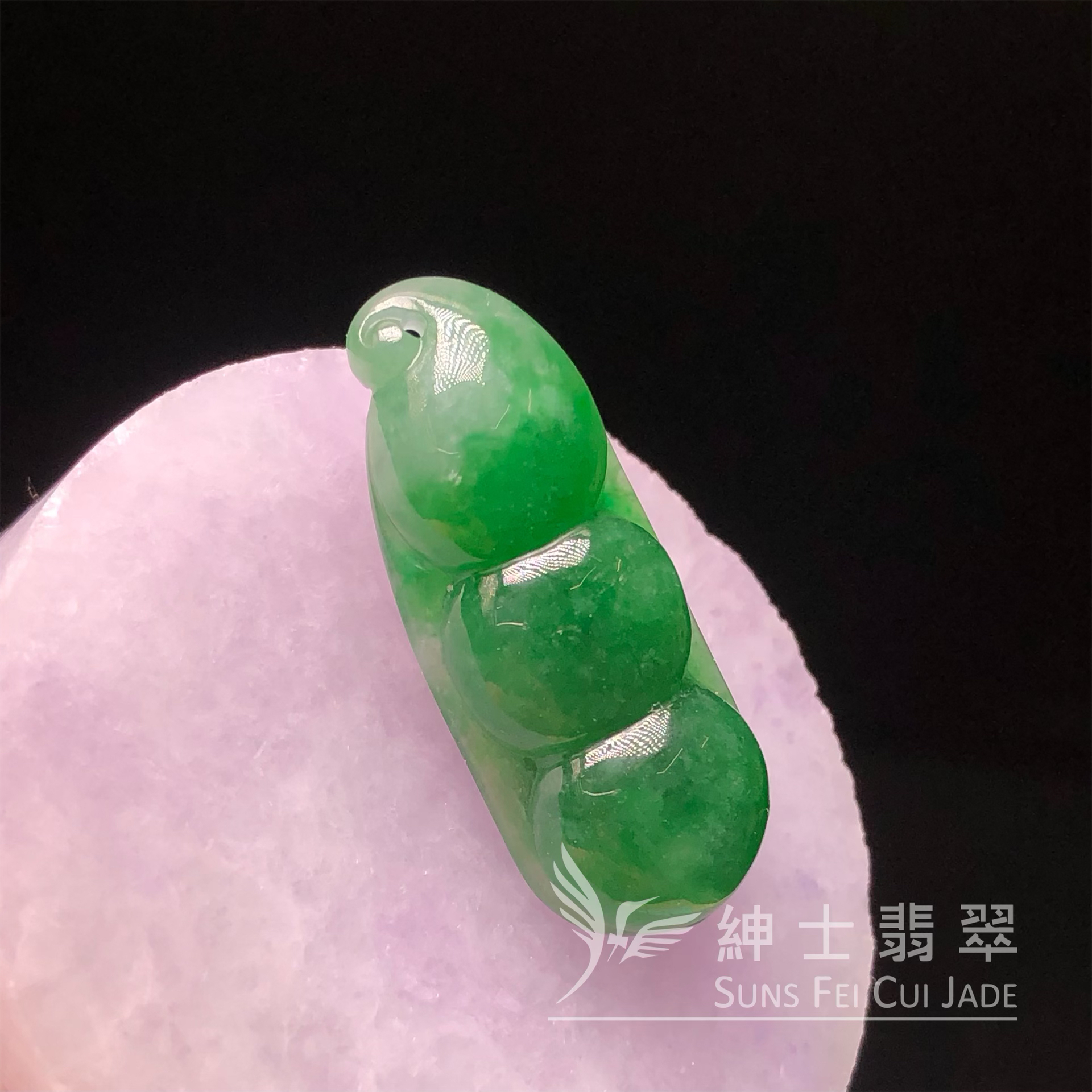 B08979 滿色福豆