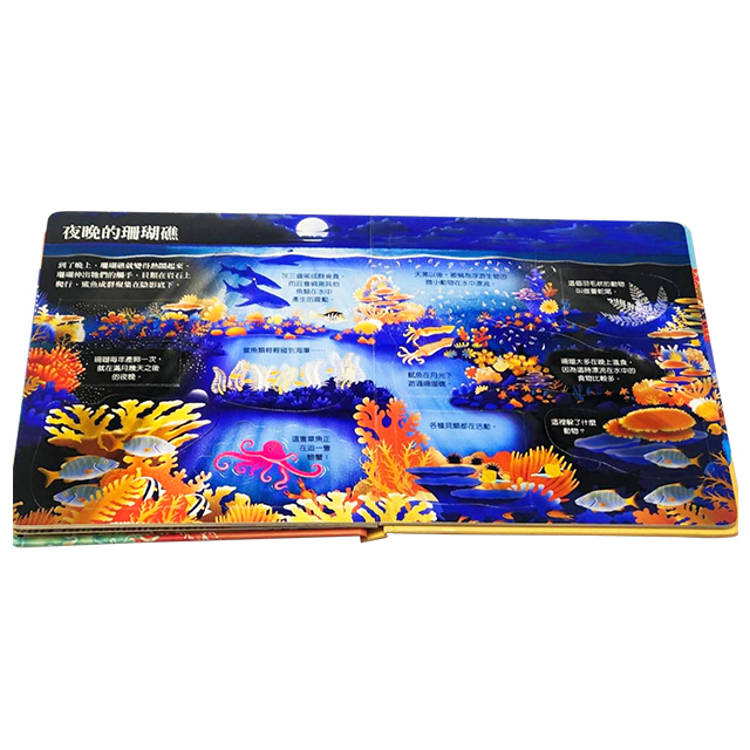 🔸預購貨品🔸Look inside-珊瑚礁