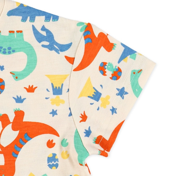 🇯🇵預訂 日本直送🇯🇵兩色恐龍滿印短袖T恤