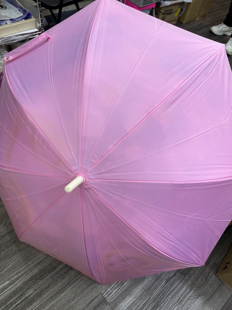 [現貨] [JDS] RAPUNZEL ｜ 長髮公主 ｜ 絕版 ｜ 長遮 ｜ 金屬部件有少許氧化，但還可使用 {TF2412003}