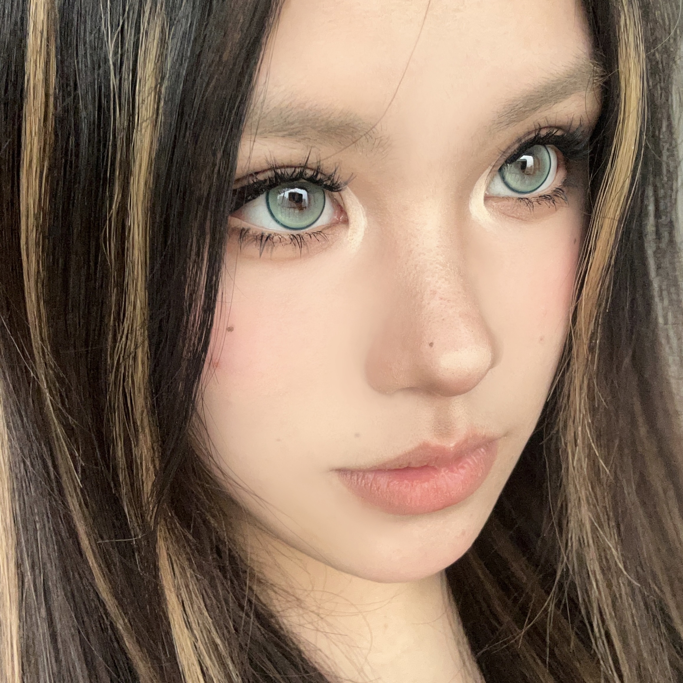 Serltyca 日拋6片裝 奶呼小熊系列