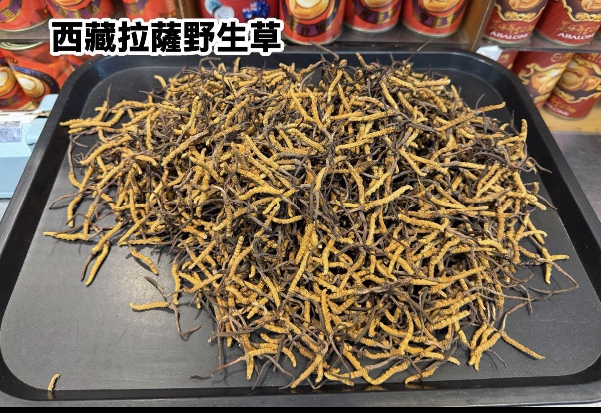 西藏野生冬蟲夏草-新季節 1両190支