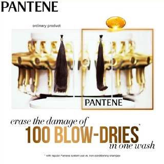 Pantene Shampoo 170ml / DAILY MOISTURE