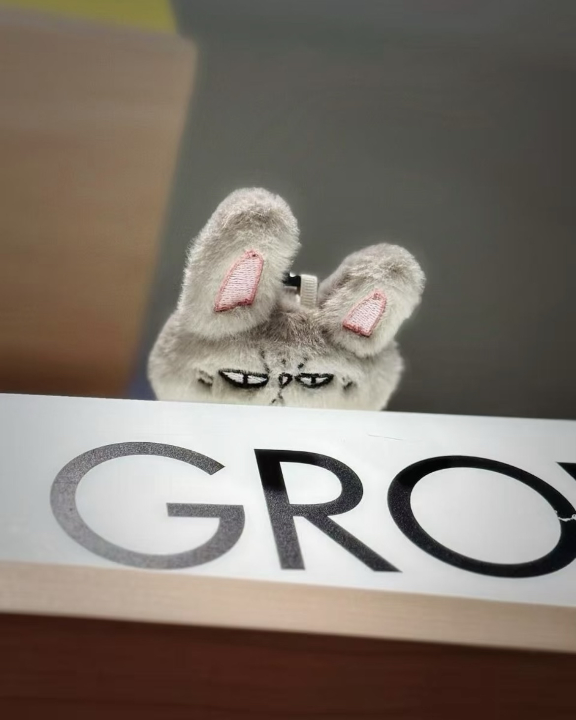 嘎巴兔「清醒瘋感」毛絨盲盒掛件