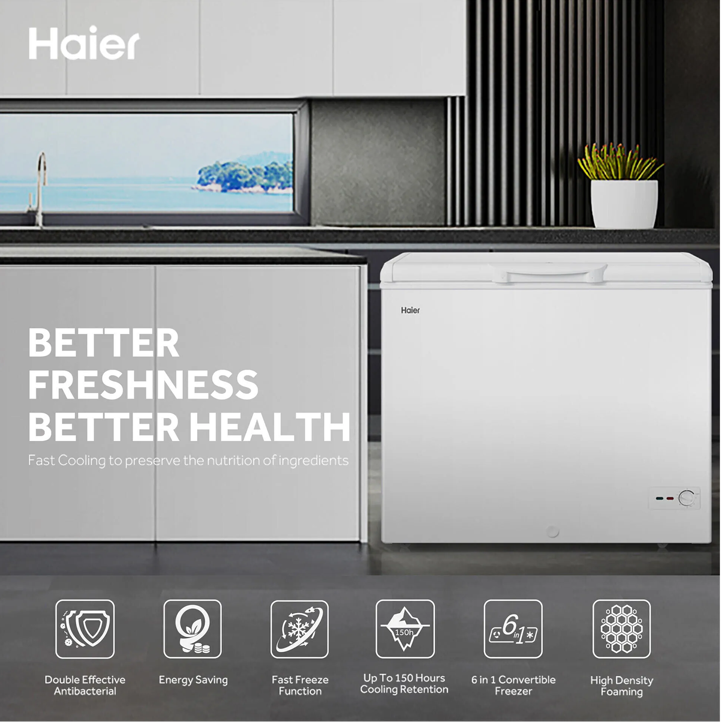 Haier 232L Chest Freezer (BD-248HME)