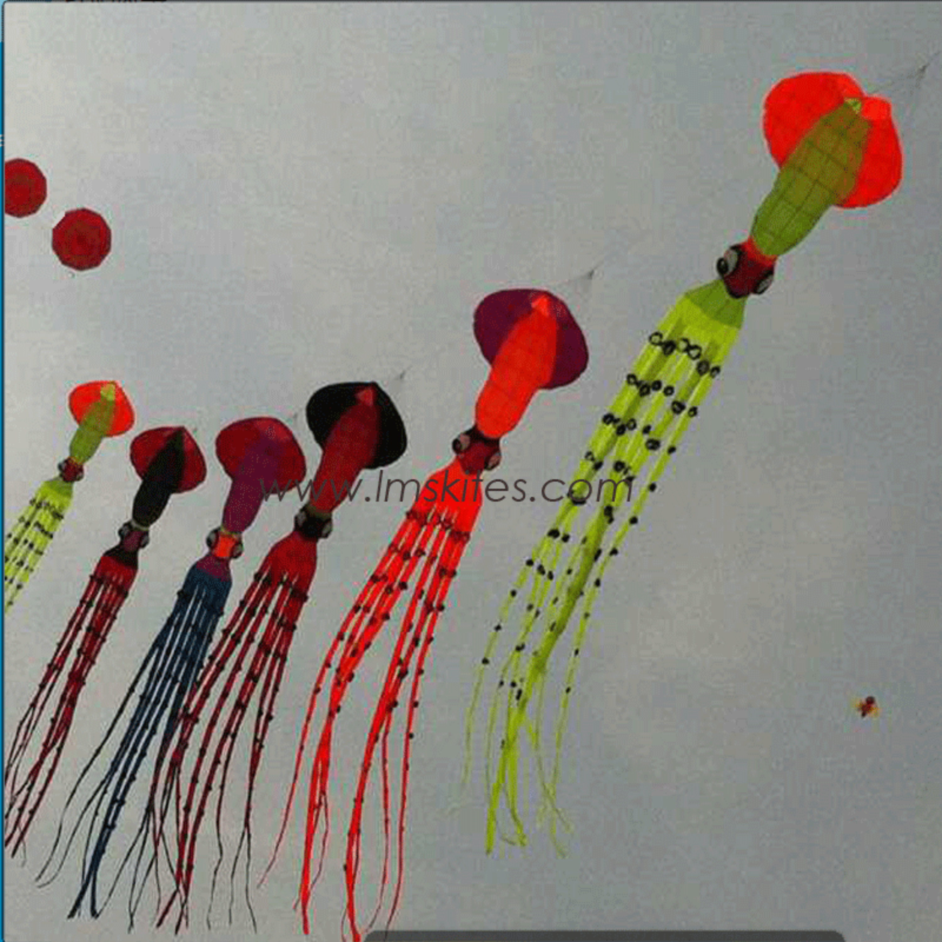 Line Laundry 10m Squid Laundry Kite