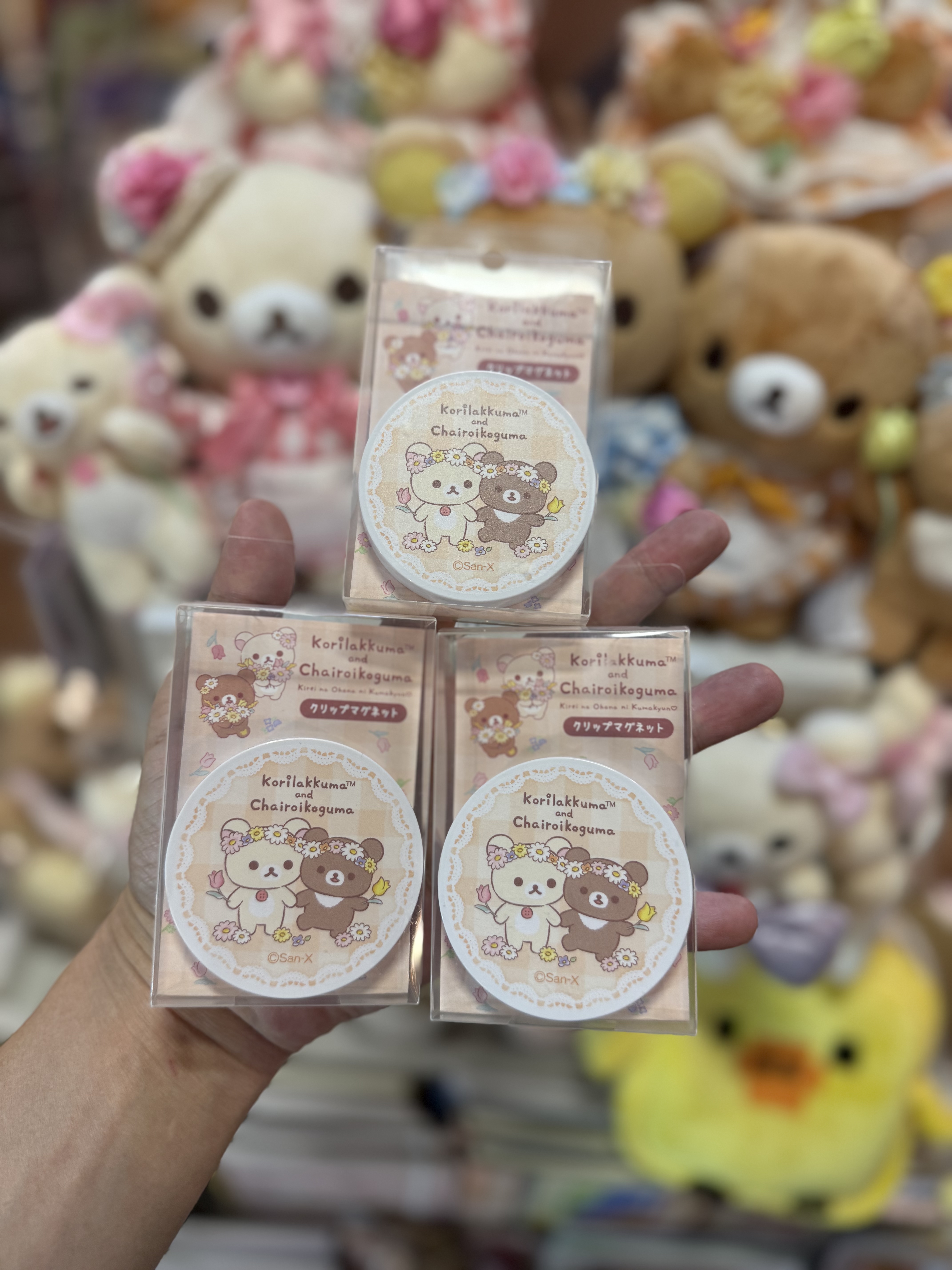 《現貨》全新日本有樂町pop up店限定 花花造型磁石夾