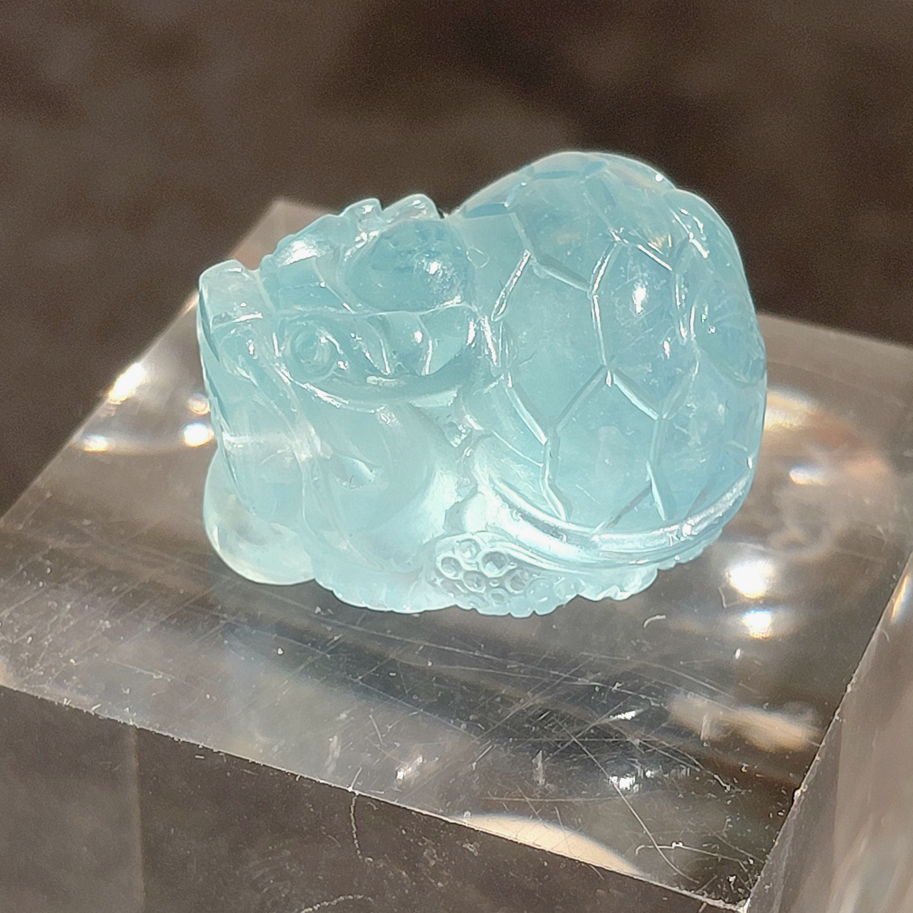 海藍寶龍龜