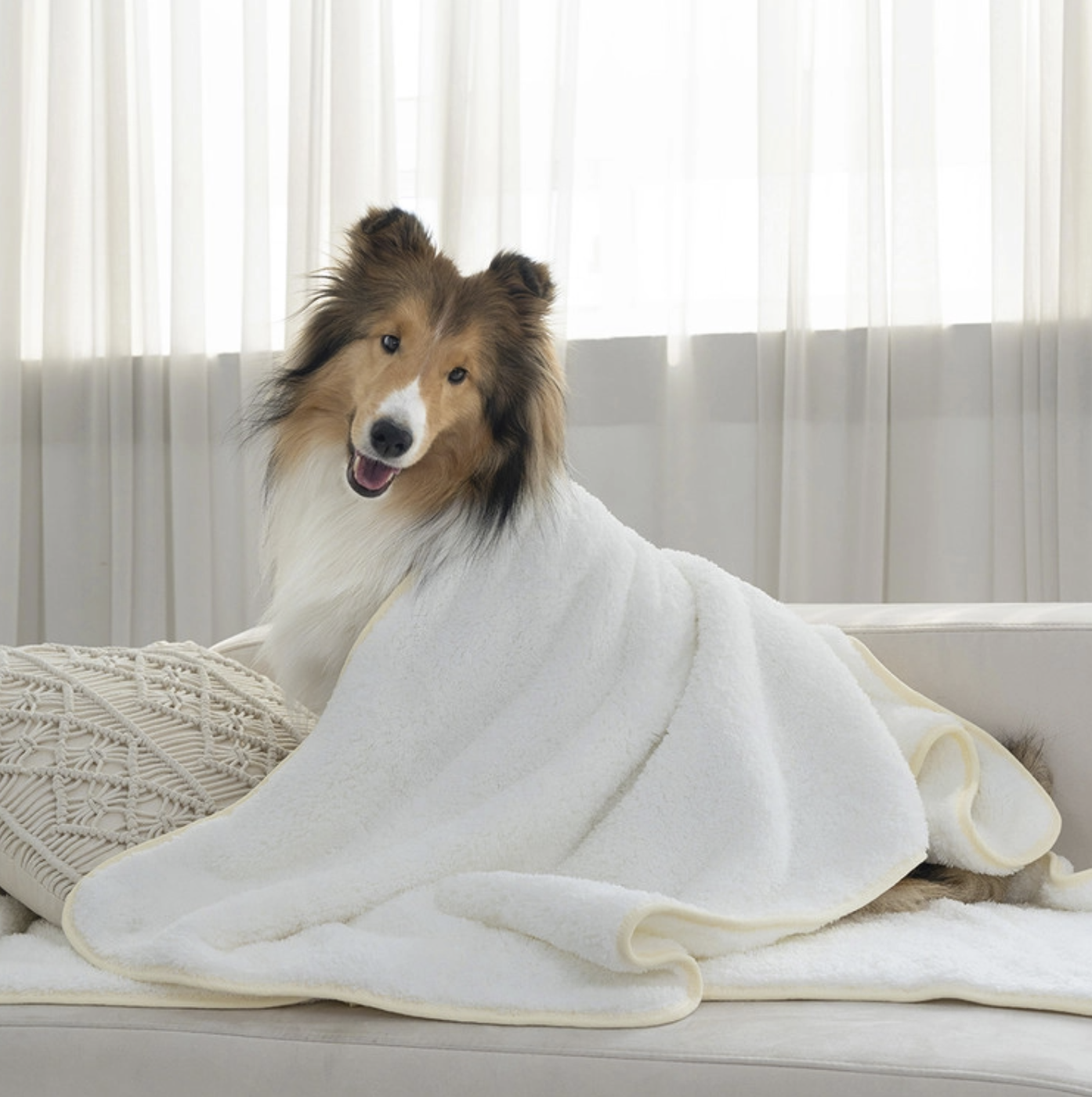 *SuperPet🇰🇷巨無霸寵物吸水毛巾(2件裝）