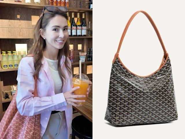 Goyard boheme Hobo Tan 100%Authentic, 98%New✅收據✅Dust bag