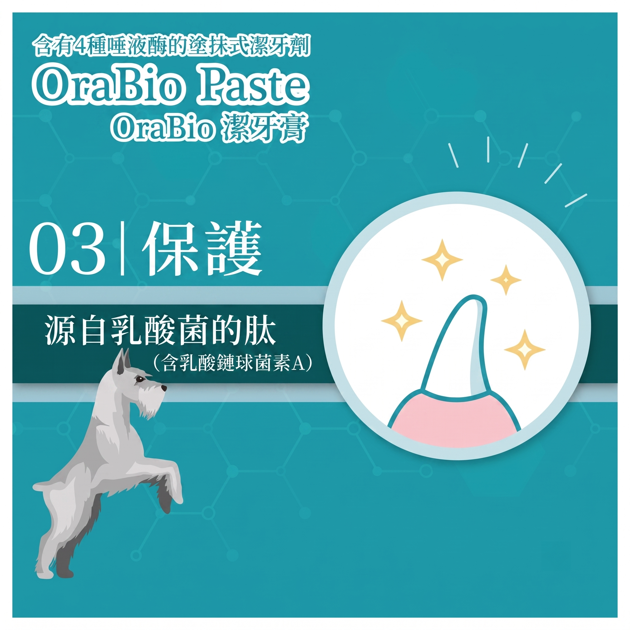 OraBio🇯🇵PRO 升級版無添加酵素牙膏 (無香料 / 50g)