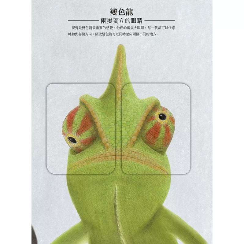 動物眼中的世界（典藏新裝版）