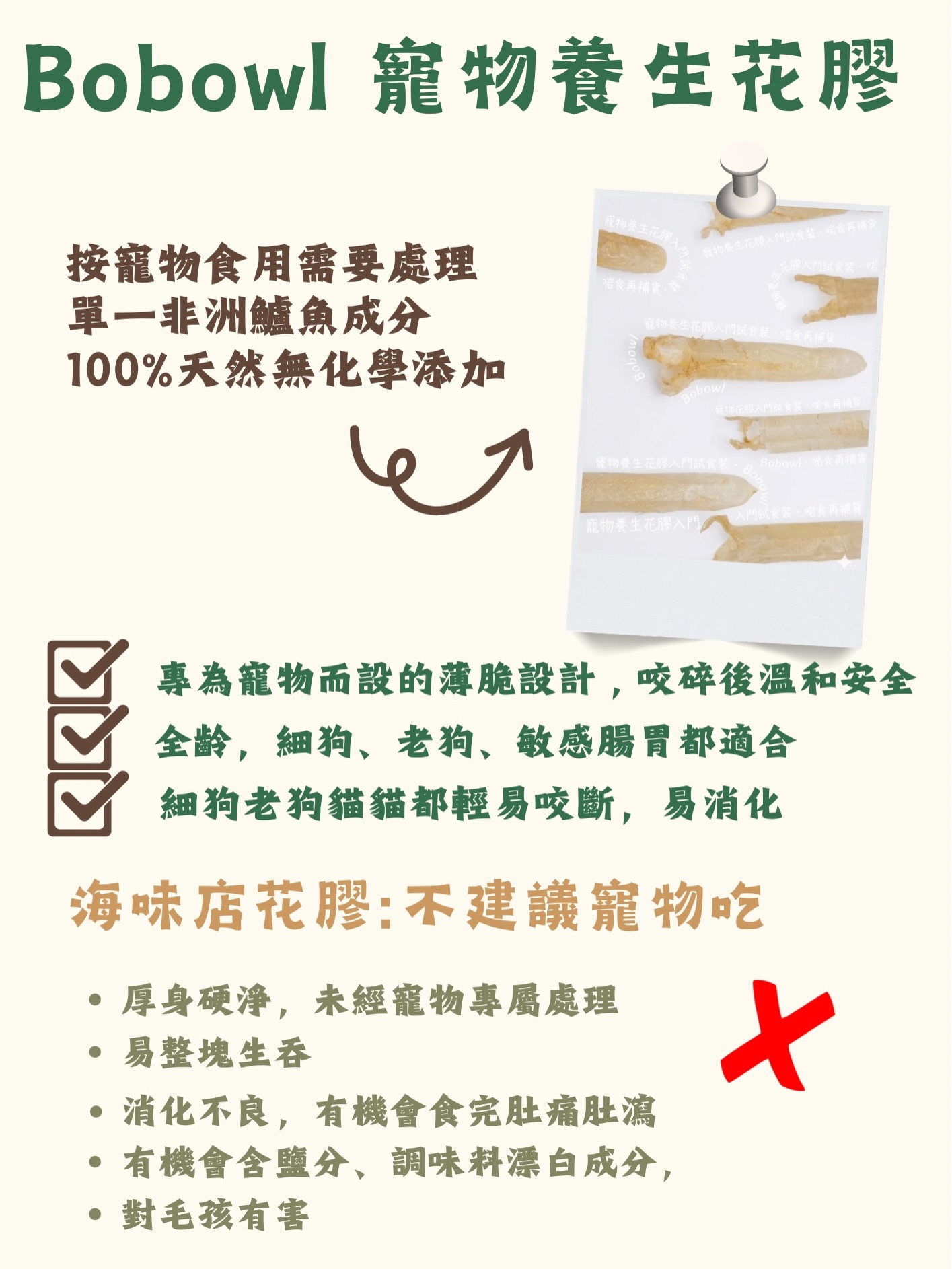 寵物養生花膠